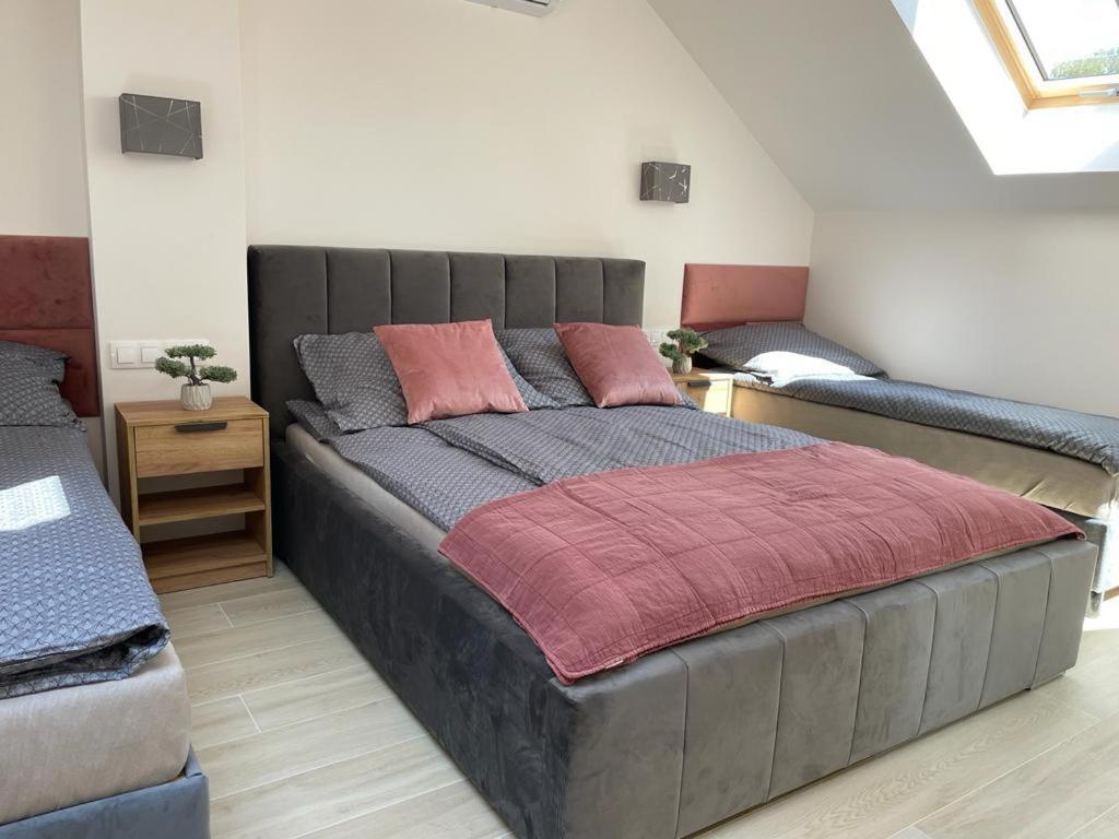 Apartamenty Przy Parku -150M Od Plazy دارووفكو المظهر الخارجي الصورة